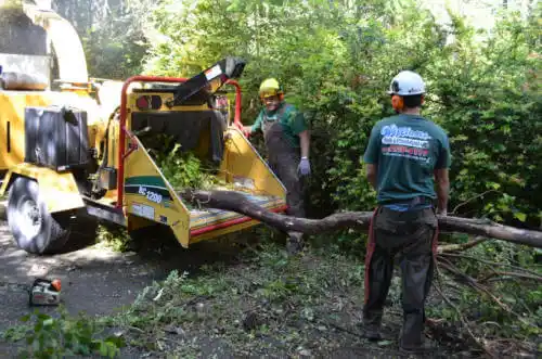 tree services Citronelle